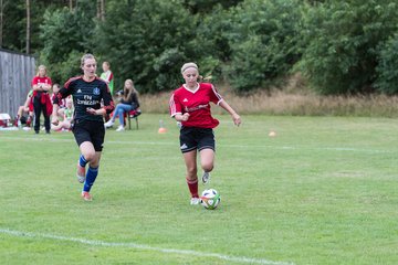 Bild 246 - Frauen SG NieBar - HSV 2 : Ergebnis: 4:3